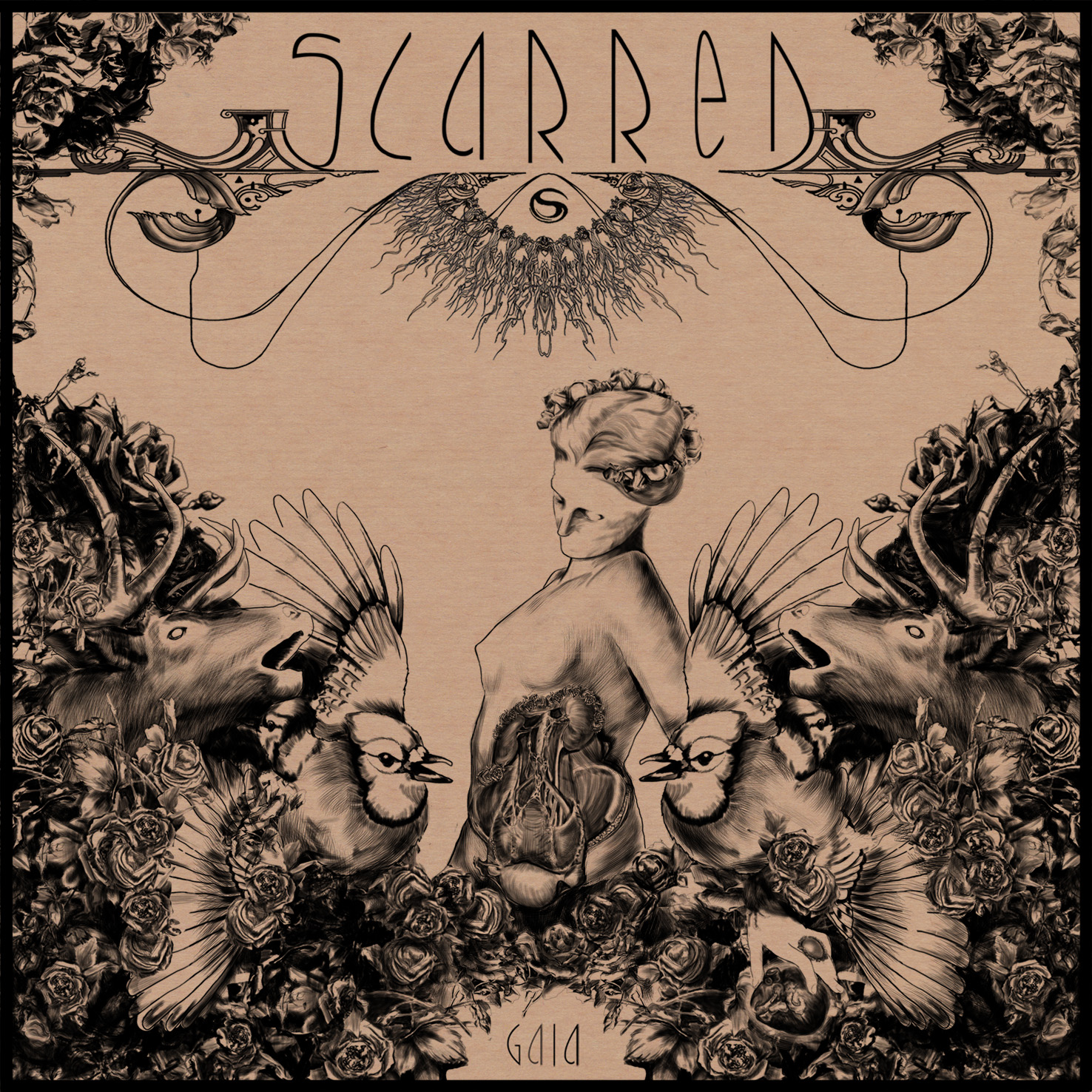 Scarred - Gaia Medea